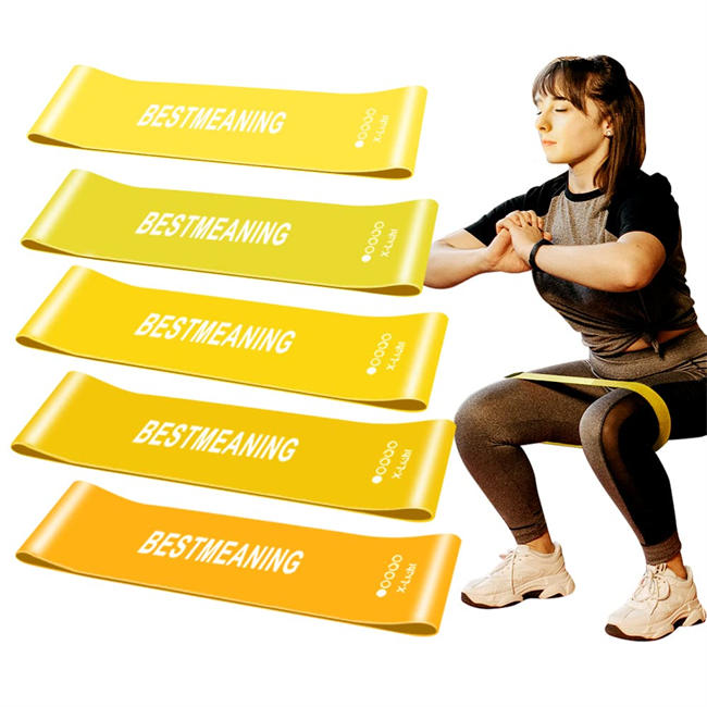 Resistance Loop Bands for Man and Women, 5 Various Resistance Levels Suitable for Gym, Home, Office Yoga Exercise with Free Carry Bag and Workout Guide